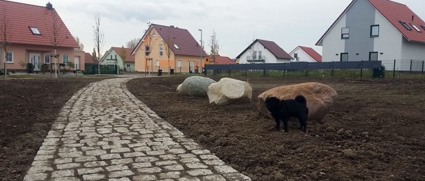 Pflasterweg im NordwestAreal Park