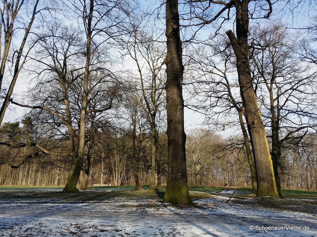 Winter im Schönauer Park