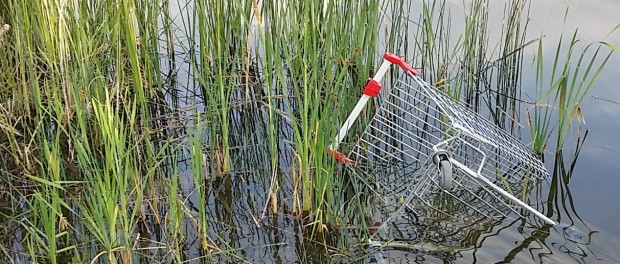 Einkaufswagen im Wasser