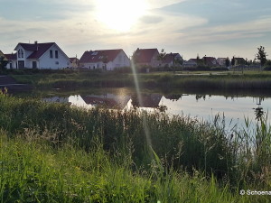 Teich am Stadtgärtchen