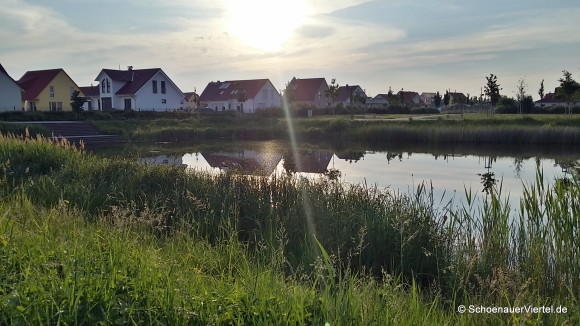 Teich am Stadtgärtchen