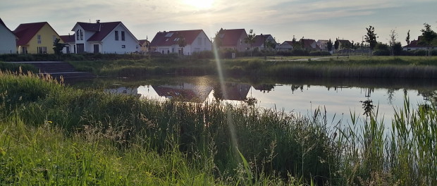 Teich am Stadtgärtchen